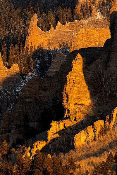 Jaynes Gallery 아티스트의 USA-Colorado-Gunnison National Forest Sunrise on cliffs and forest in autumn작품입니다.
